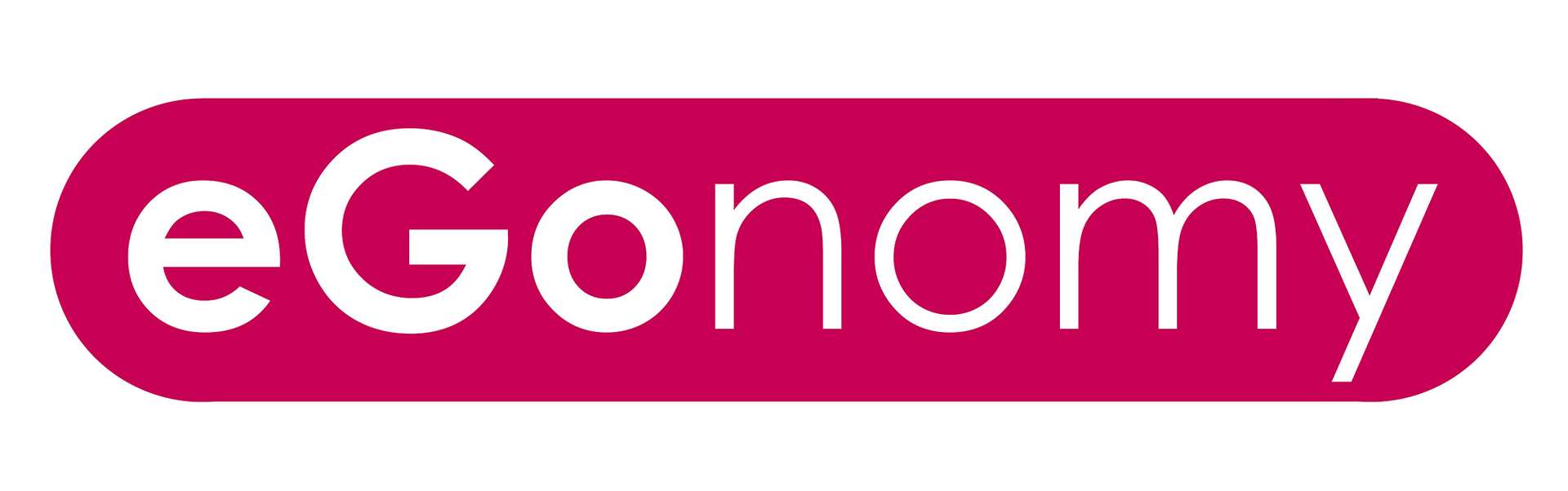 eGonomy, a Maïeutic engine