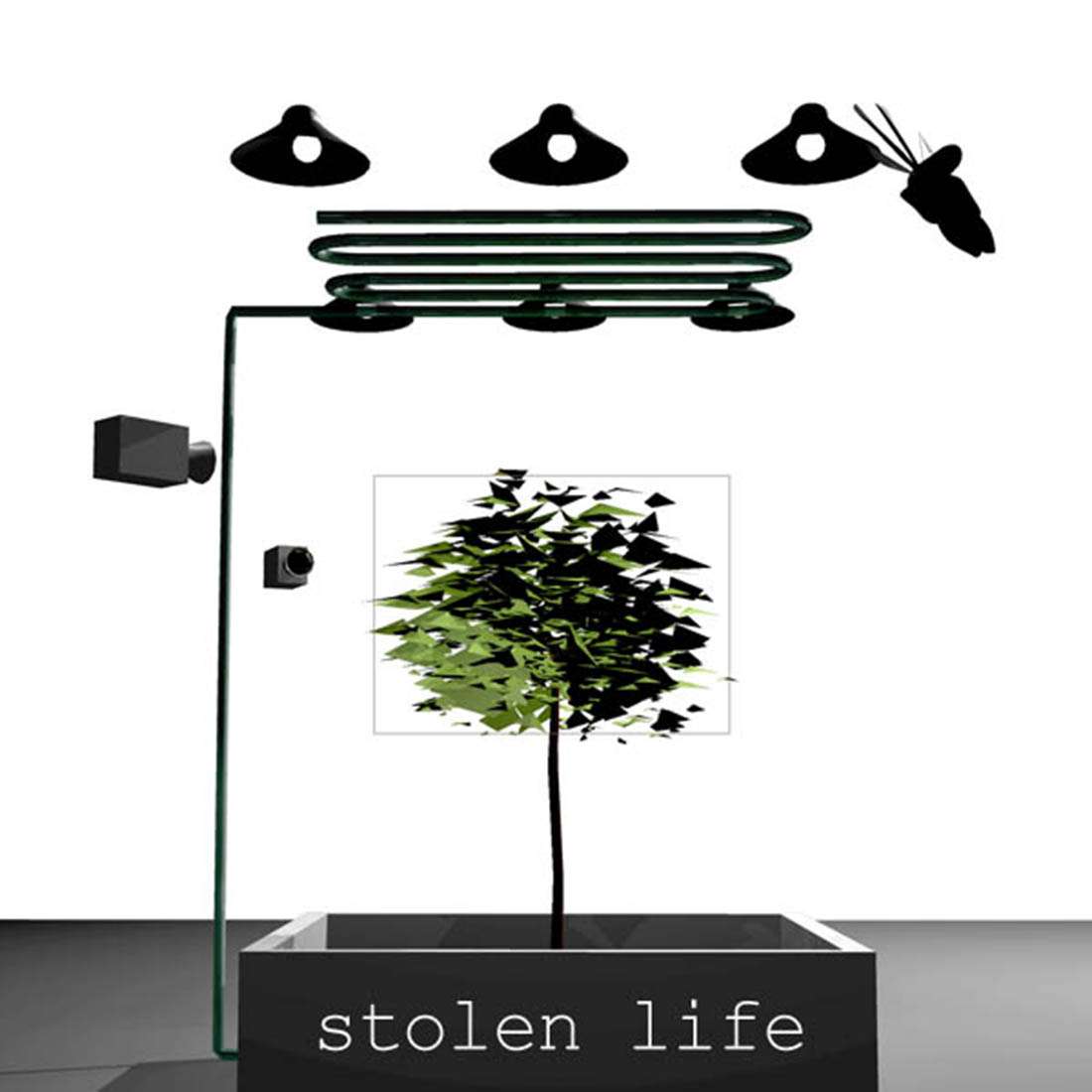 Stolen Life